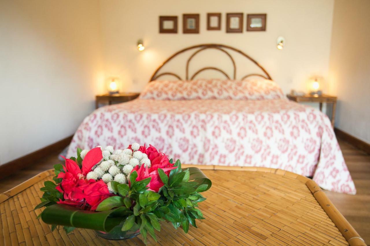 Tsara Guest House Φιαναραντσόα Εξωτερικό φωτογραφία